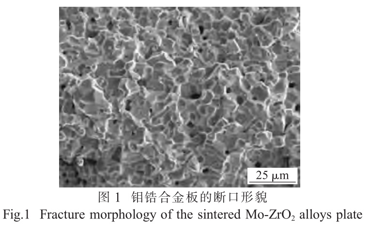 1729568147709602.jpg 1.jpg