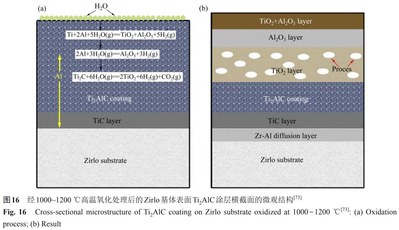 1734081942653617.jpg 16.jpg