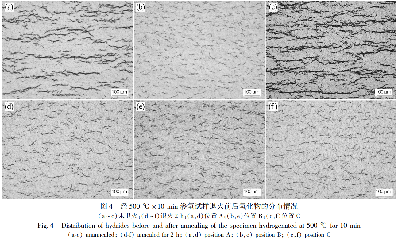 1736775486926133.png 截圖20250113213611.png